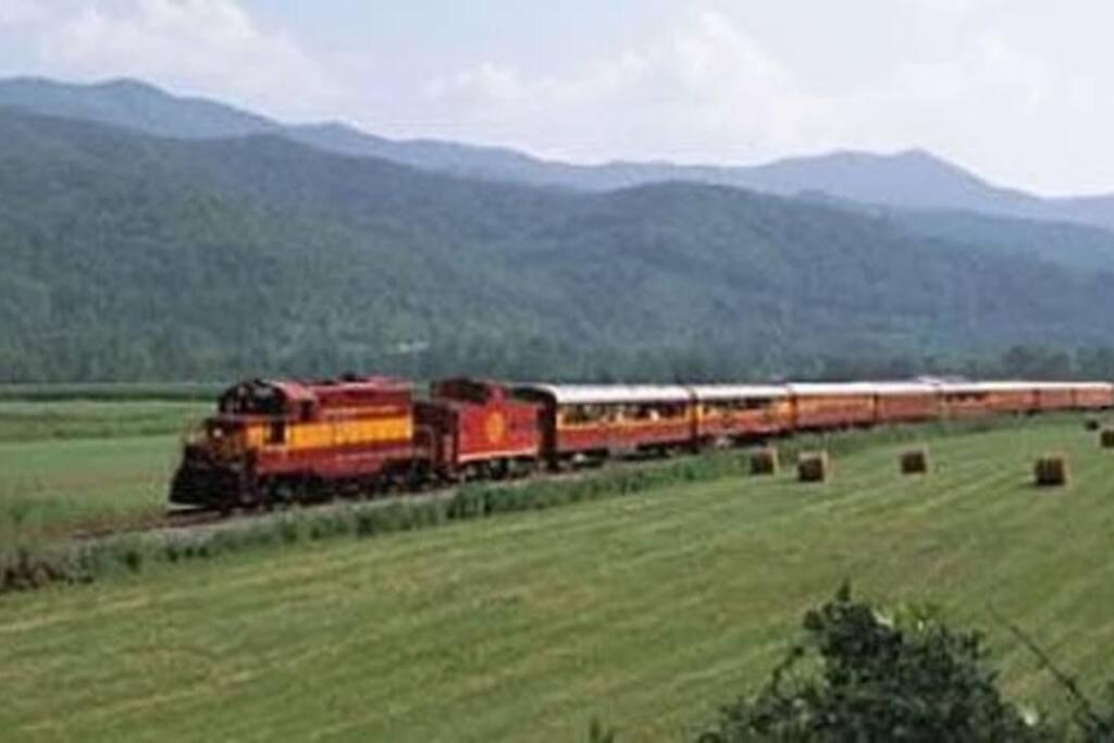 Villa Honeymoon Getaway In Woods Near Noc And Smoky Mtn Rr Bryson City Exterior foto