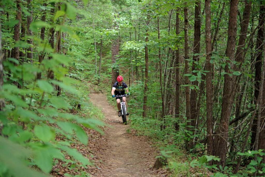 Villa Honeymoon Getaway In Woods Near Noc And Smoky Mtn Rr Bryson City Exterior foto